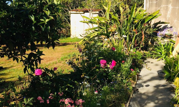 Awhitu House | Classic 1950s house