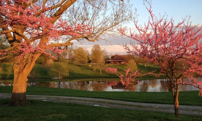 Taylorsville Cabin | Classic Kentucky Farm: Bluegrass - Bourbon - PGA -Firepit-Horse Country-WiFi