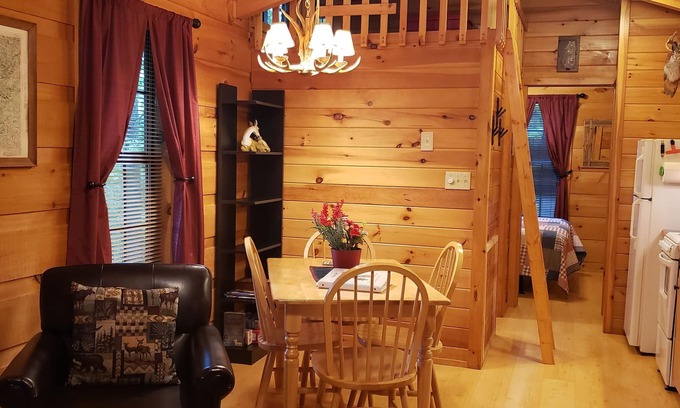Waynesville Cabin | Clean, private cabin just 3 miles to Waynesville on a paved road. 1 of 2 cabins
