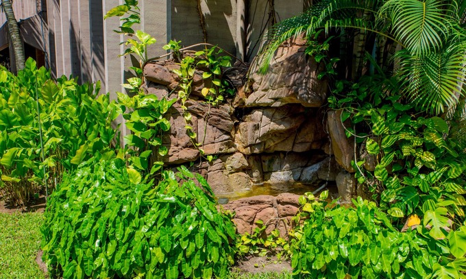 Ikoyi Resort | Clear Essence California Spa & Wellness Resort