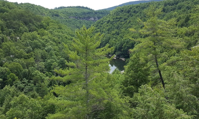 Ozone Cabin | Clear View Retreat: Cabins in the woods near Obed, Catoosa, Crossville, & more