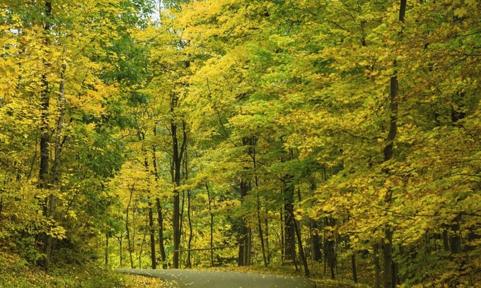 Tri-Taylor House | Close to downtown and museums