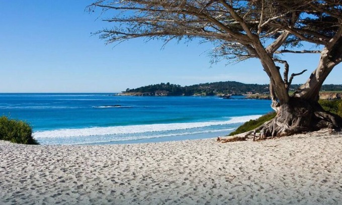 Northeast Carmel House | Cloudy Bay Cottage - Carmel House - Luxury, Elegance, Secret Garden