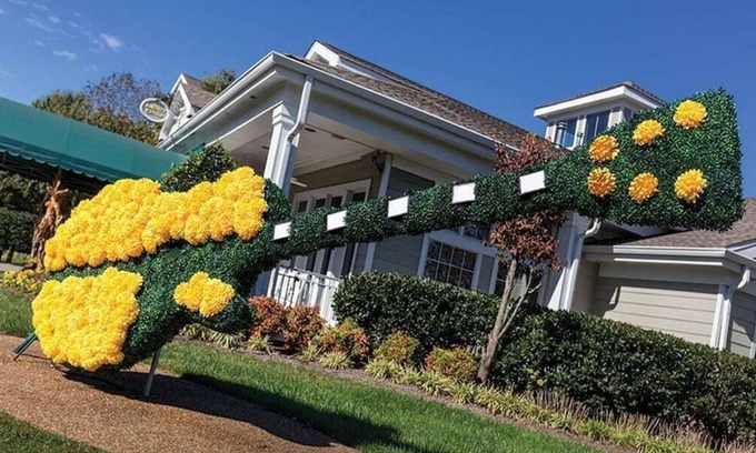 Pennington Bend Resort | Club Wyndham Nashville, Tennessee -2 Bedroom Deluxe