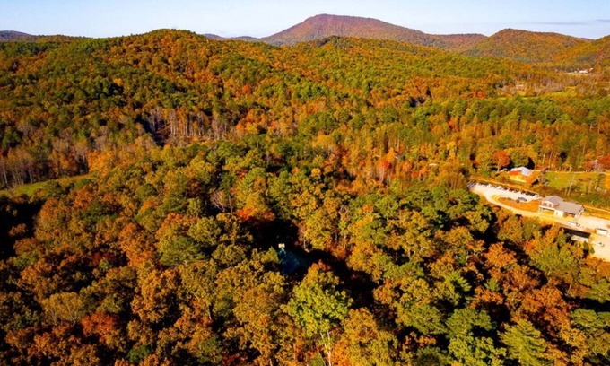 Tiger Apartment | Clyde’s Cabin: Mtn View, Fire Pit, Pet-Friendly