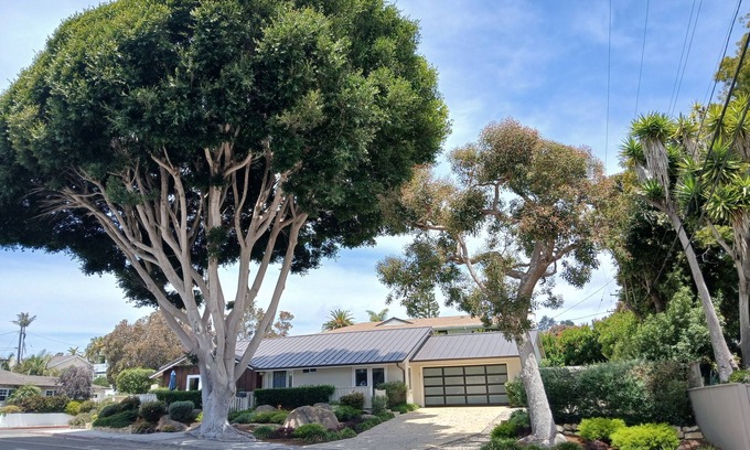 The Mesa House | COASTAL PEARL by the wharf!