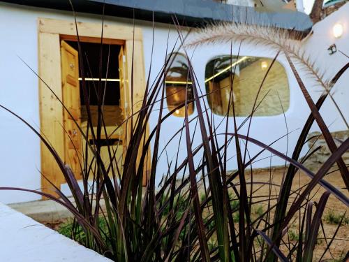 Mount Abu House | Cob House