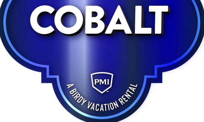 Helotes House | Cobalt - A Birdy Vacation Rental