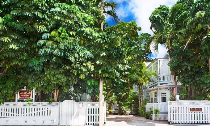 Downtown House | Coco Plum Inn