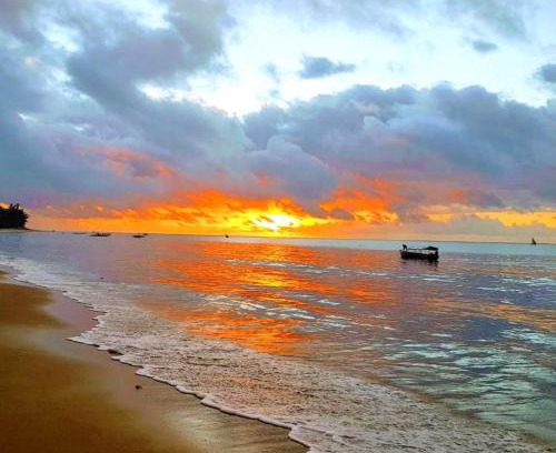Mkunguni Hotel | COCO REEF ECOLODGE