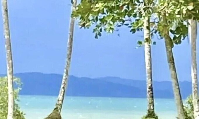 Palma House | Coconut Beach House at playa Amapola Entire Cottage hosted by Kimberly -internet