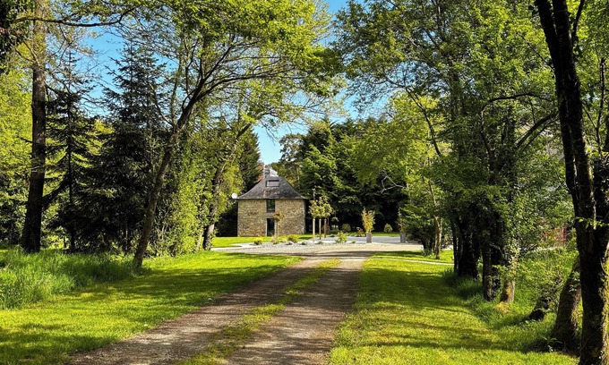 Ferce House | Cocooning cottage in the middle of the forest