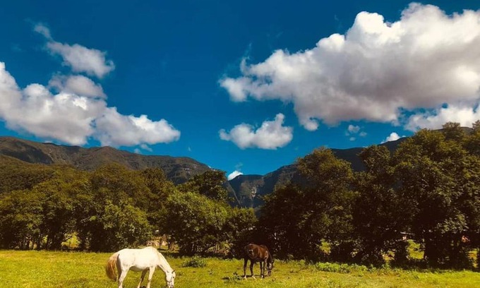 Praia Grande House | Coelho Recanto Dos Vales