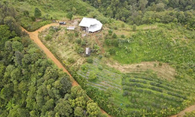 Langkat Cabin | Coffee Farmstay and Roastery in Sumatra, offgrid, authentic, natural