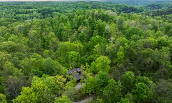 Logan Cabin | Cohosh - Hand hewn private log cabin with views
