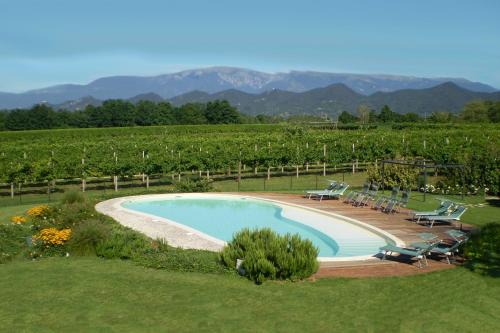 Caerano di San Marco Bed & Breakfast | Col Delle Rane