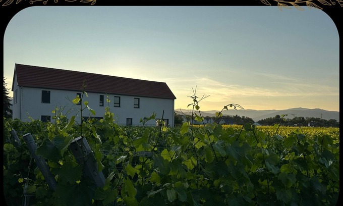 Ingersheim House | Colmar and co in the heart of the vineyards