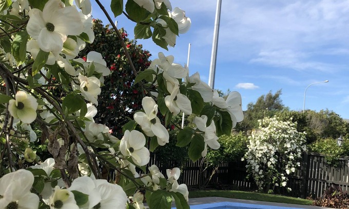 Blenheim Hotel | Colonial Motel