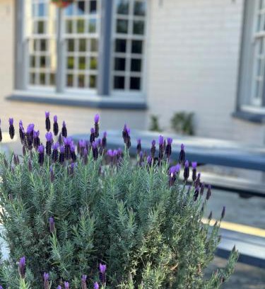 Raymond Terrace Hotel | Colonial Terrace Motor Inn