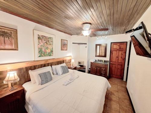 Pavas Hotel | Colours Oasis Resort ADULT ONLY