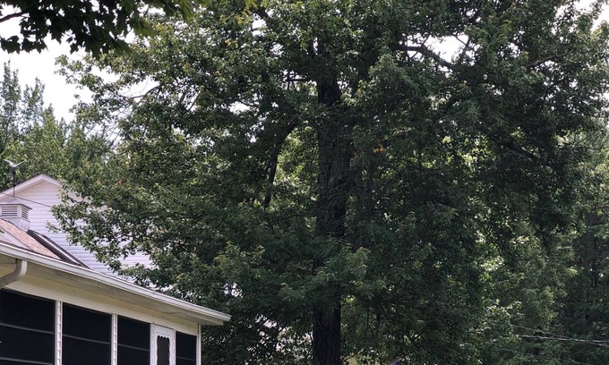 Kauneonga Lake House | Come relax where friends and family come together