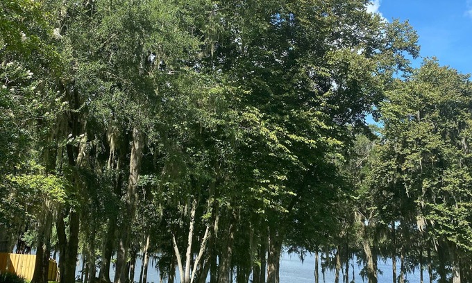 Lake Park House | Come stay and relax at the elegant Bienvenue Bed and Breakfast Inn