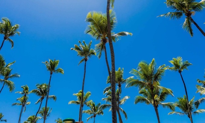 Vilas do Atlantico House | Comfort in front of the Sea, standing in the sand.