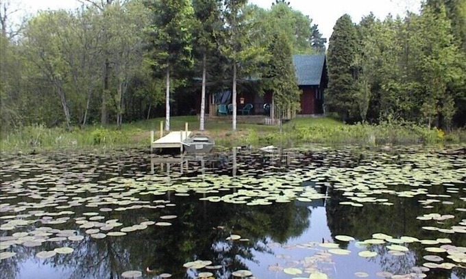 Manistee Cabin | Comfort in Natural Surroundings