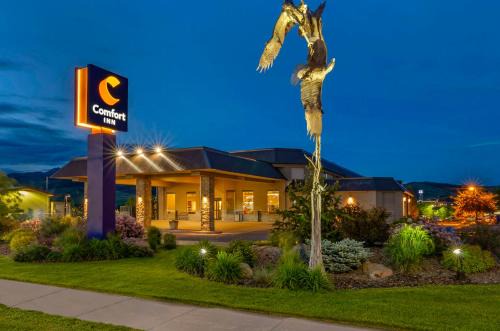 Bozeman Hotel | Comfort Inn Bozeman near University