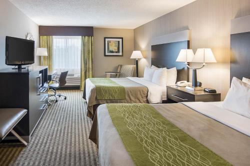 Camden Hotel | Comfort Inn Camden