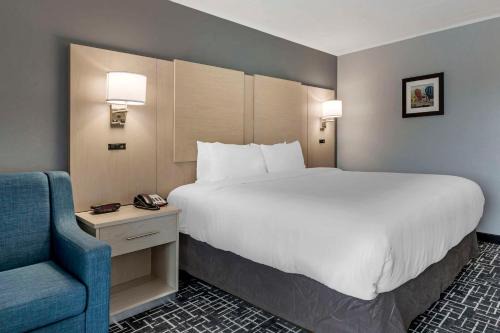 Hyannis Hotel | Comfort Inn Hyannis - Cape Cod