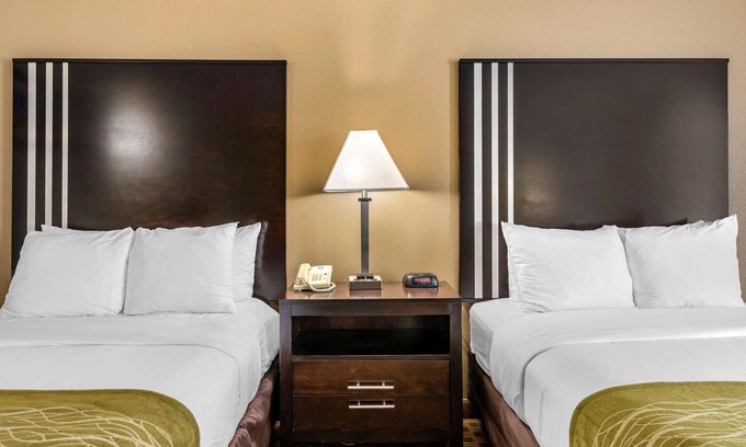 Indianapolis Hotel | Comfort Inn Indianapolis East