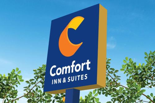 Eden Hotel | Comfort Inn & Suites Savannah Airport