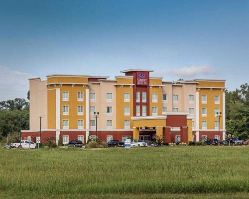 Gonzales Hotel | Comfort Suites near Tanger Outlet Mall