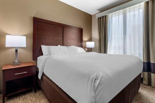 Plano Hotel | Comfort Suites Plano - Dallas North