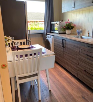 Skien Apartment | comfortable apartment in a quiet area in the city center