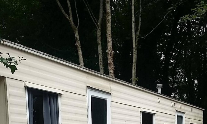 Girvan House | Comfortable holiday home in the grounds of a country house