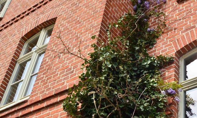 Oberhavel House | Complete guesthouse on the Finow Canal (former school from 1875) for 12 people