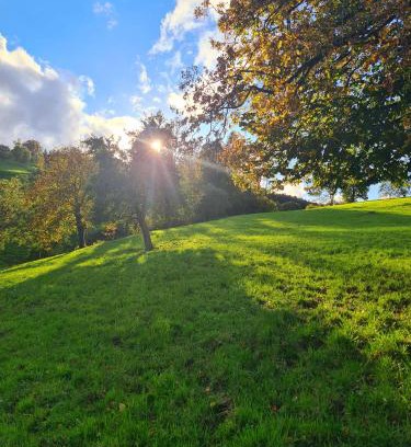 Kriens Other | Completely Open Barn-Nature Höllhof Adventure with panoramic view outdoor -near Lucerne