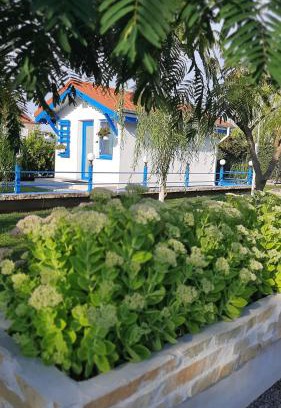 Murighiol House | Complex Turistic Essenza