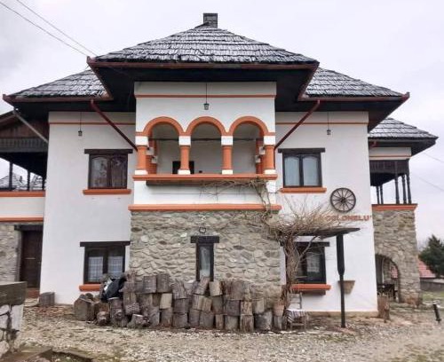 Runcu House | Conac boieresc La Colonelu