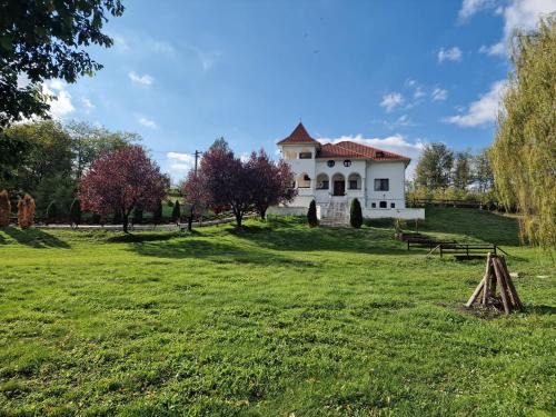 Topoloveni Villa | Conac de lux Topoloveni