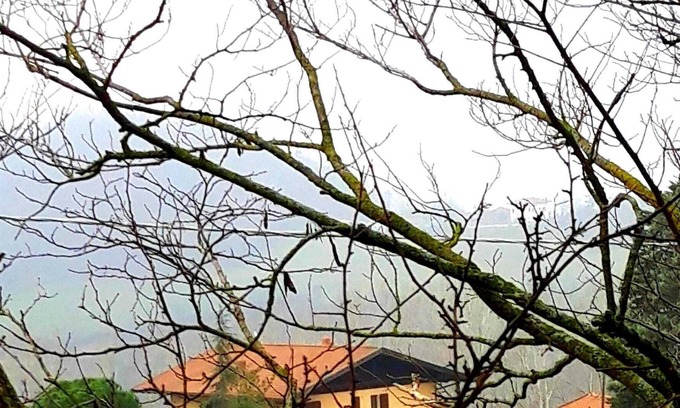 Borghi House | ConcaverdeClub
