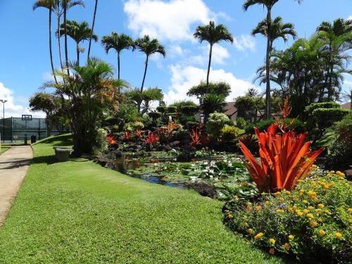 Kapaa Apartment | Condos in Kapaa