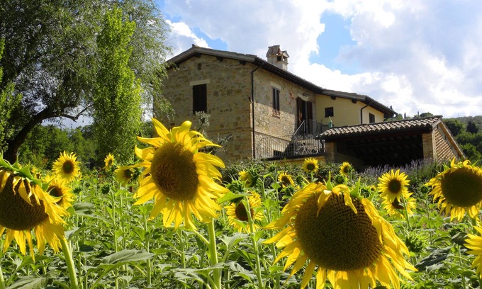Guzman Apartment | Confortable, nice, apartment, gorgeous view over Umbrian green hills & Assisi