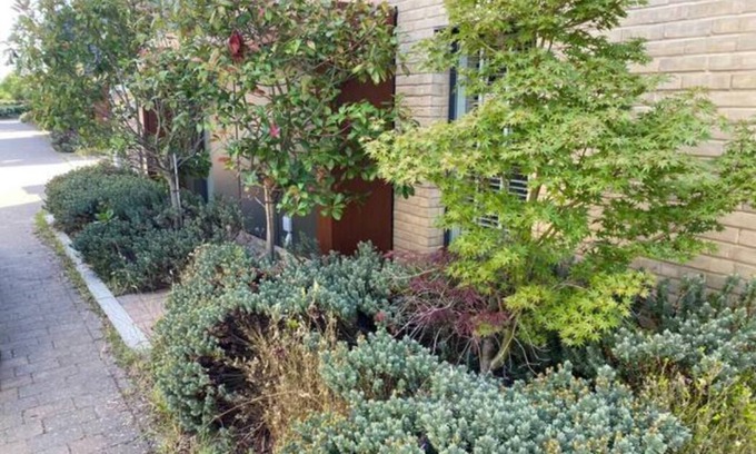 Cambridge House | Contemporary, Cosy House with Free Parking & Garden; 5 mins to Addenbrooke's