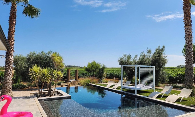 Servian Villa | Contemporary wine estate villa with infinity pool