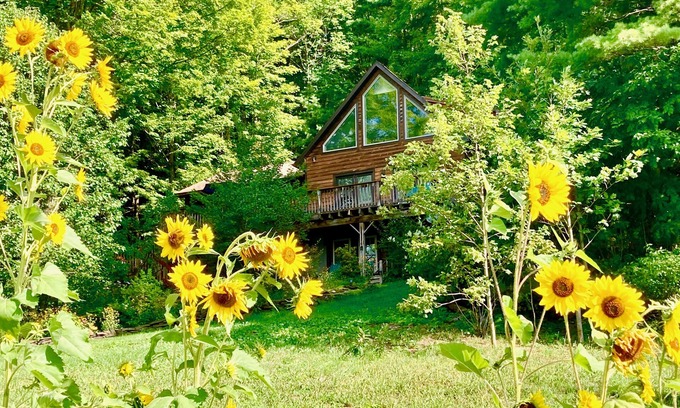 Cooperstown House | Cooperstown Beautiful Modern Home
