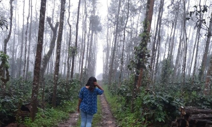 Virarajendrapet House | Coorg Happy Estate Stay