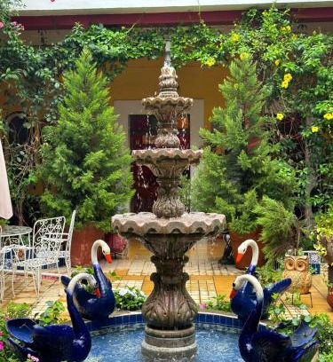 Mascota Hotel | Copa de Oro Hotel Boutique